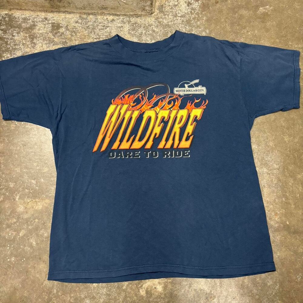 Vintage rollercoaster tee size xl